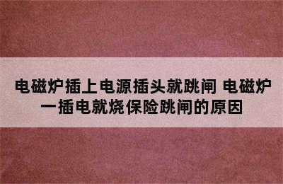 电磁炉插上电源插头就跳闸 电磁炉一插电就烧保险跳闸的原因